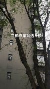 重庆外墙翻新——重庆长寿外墙翻新施工维护【性价比高】